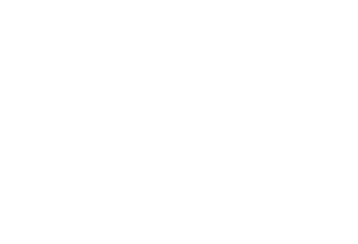 Wed Vibes Media logo