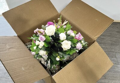 bride and groom at Tony's Grove in Logan Canyon