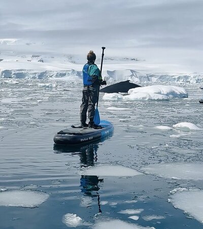 Paddleboarding with Humpback Whales in Antarctica