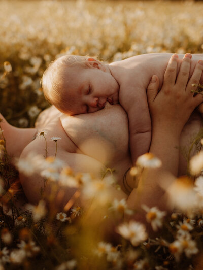 på ett blomfält ligger en mamma med hennes nyfödda bebis på hennes bröst och ammar