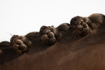 three plaits on a brown horse's mane
