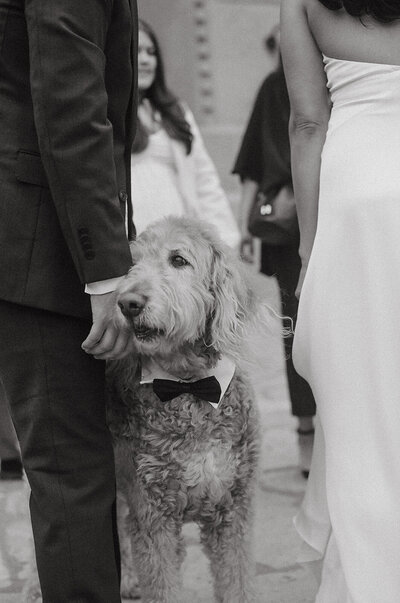 santa barbara courthouse wedding photographer pricing