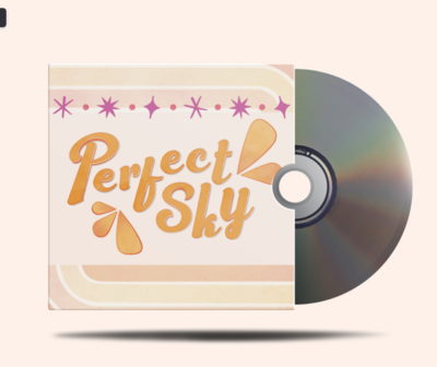 Custom mockup of branded videography company DVD sleeve