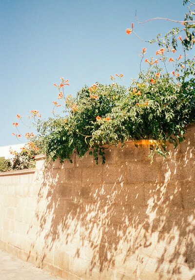 2024-ace-photography-italy-film-46