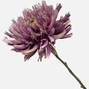 lilac flower captured by ECLAT Destination Weddings Vienna