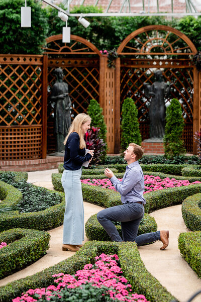 proposal in the phipps conservatory pittsburgh broderie room