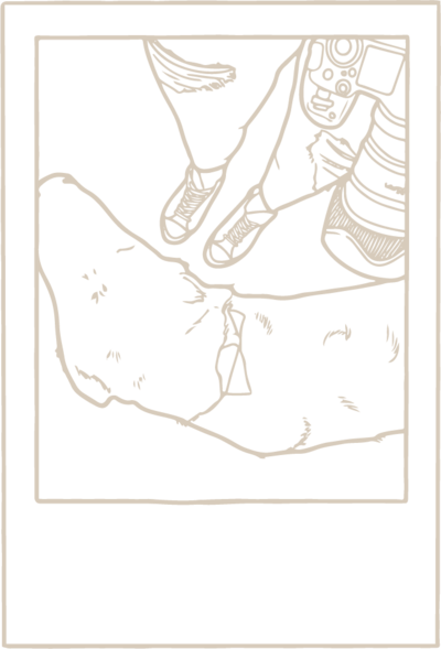 hand illustrated polaroid picture