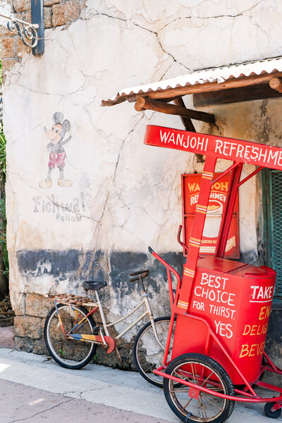 disneyspringbreak-27