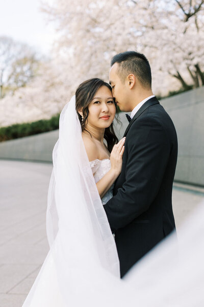 Tidal Basin Cherry Blossom Wedding Couple Photos | Adela Antal Photography