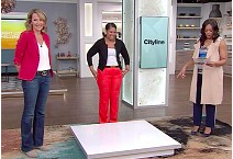 Joey Shulman on Cityline