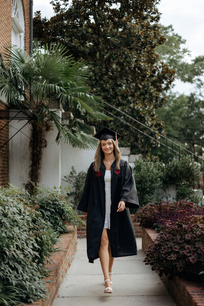 A senior college graduate dressed in a white dress and her graduation cap and gown, walks towards the camera in the gardens at the University of South Carolina Horseshoe.