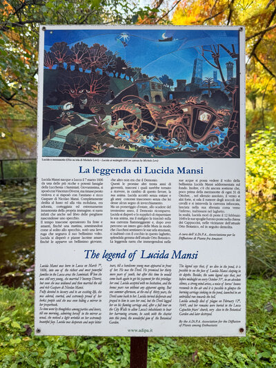 The pond at the Botanical Gardens in Lucca, Italy.