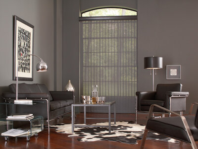 vertical blinds window treatment