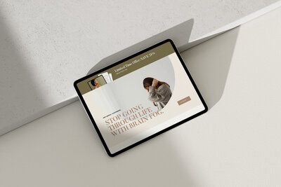 Category-Pages-MulberrySales