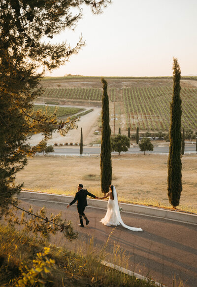 bride and groom holding hands