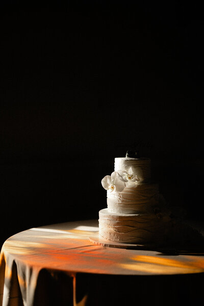 california-los-angeles-wedding-photographer