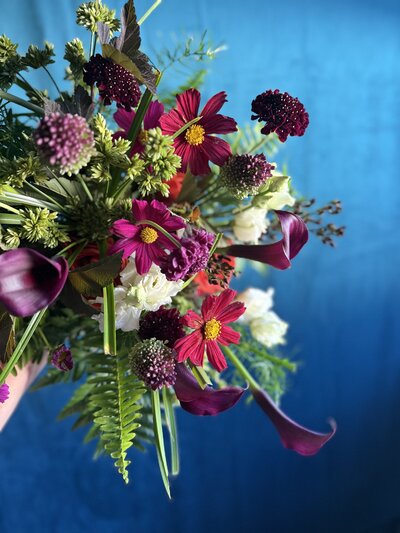 IMG_2527_Original
