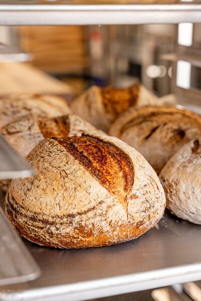 Golden gluten-free sourdough loaves cooling at Grain Artisan Bakery in Snohomish, WA.