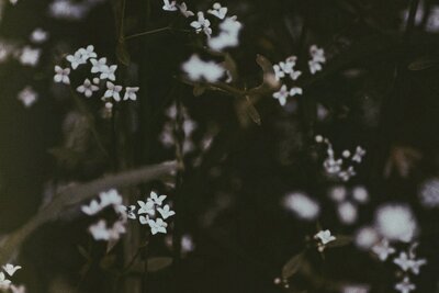 sophie-CB2-xc0qhYw-unsplash