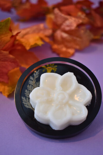 sun-and-moon-garden-botanicals-fall-floral-lotion-melt