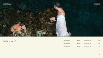 dylan james pricing guide mockup