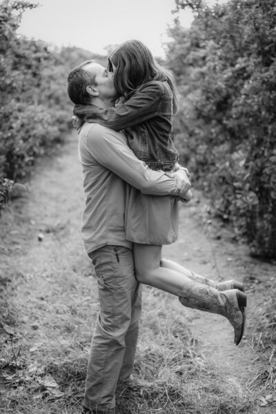 playful engaged couple sharing a kiss between rows of apple trees