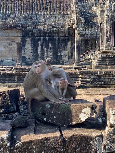 Global snapshots from expat life, featured in the Postcards from Everywhere travel series on Leaving Main Street blog