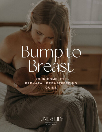 prenatal breastfeeding guide