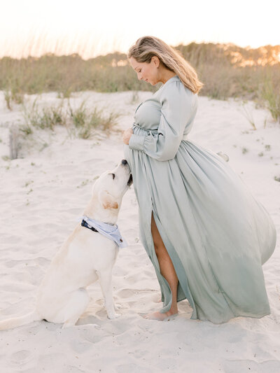 maternity portrait on hilton head with dog