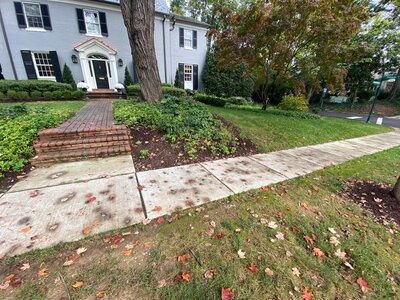 Old DMV Home in need of landscaping cleanup