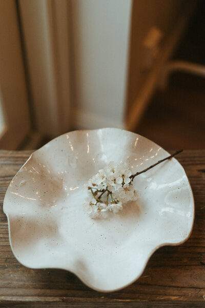 Kuvassa on valkoinen aaltoileva kulho, jonka päällä omenapuun kukka.