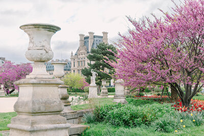 Jardin des Tuileries Paris