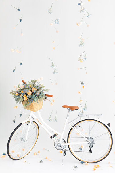 2025.03.17 Spring Install Jax Mini Sessions Studio-16053