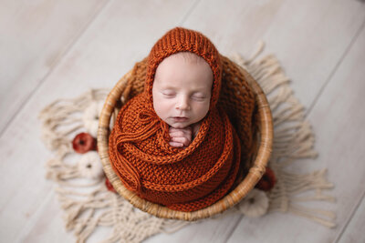 Newborn boy wrapped in fall colors for his photography session at Jennifer Brandes Photography in Southern Minnesota.