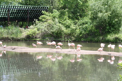 Real estate market trends St Petersburg FL - agent analyzing Pinellas County property data