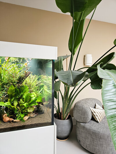 BOU Living project Driebergen interieurontwerp Aquarium als roomdivider