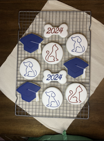 Tucson-decorated-cookies--custom-cookie-bakery-near-me--tucson-az-cookie-bakery
