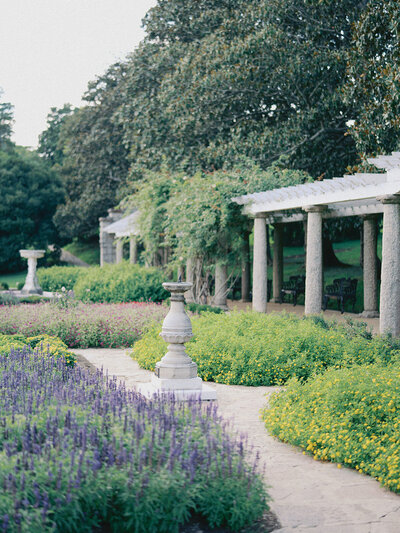 A garden setting by Katie Stansfield Photography, a Richmond photographer.