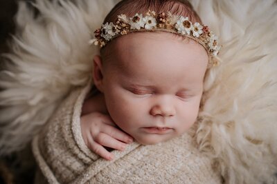 Newbornshoot Oldenzaal