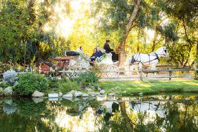 LAKE OAK MEADOWS TEMECULA WEDDING PHOTOGRAPHER