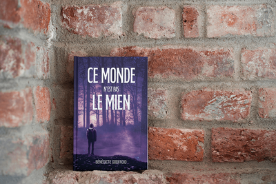 couverture de roman Bénédicte Godfroid