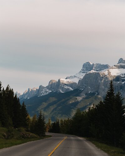 BANFF-14