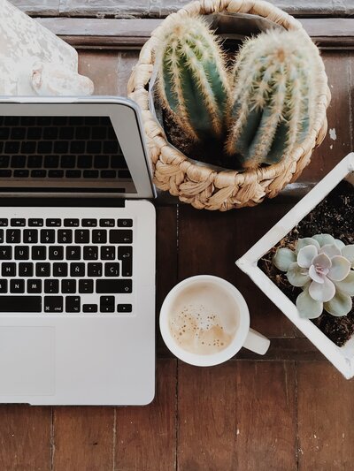 birds eye view of a desk with a laptop, a coffee mug and cact