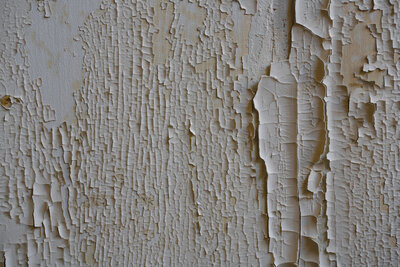 Dry, white-colored, lead paint formulating cracks and flakes.