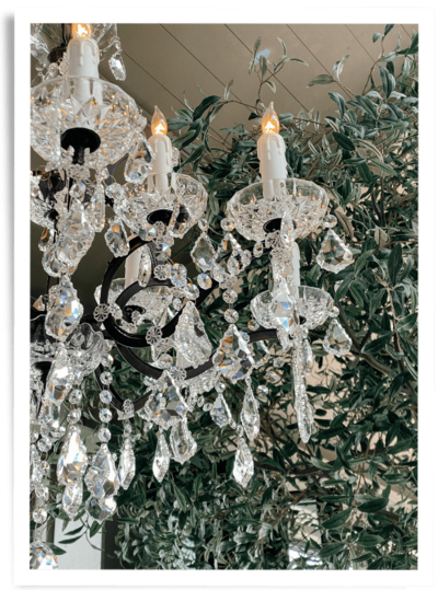 A beautiful crystal chandelier with greenery behind it