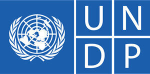 About-UNDP logo