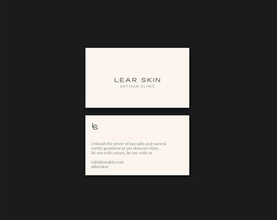 lear skin mockup_8 copy