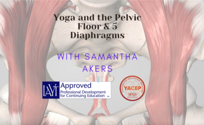 Comprehensive yin yoga training for teachers seeking specialized certification and yoga CE credits