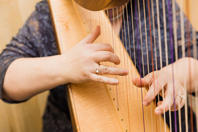 harpist at Tranquility Farm,Midwest event venue