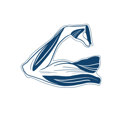 blue illustration of a flexed arm showing muscle bands
